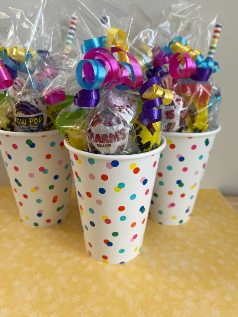 Birthday Party Favor Pre Filled Party Birthday Party Favor Pre Filled Party